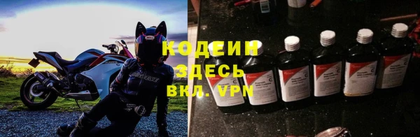 гашик Белокуриха