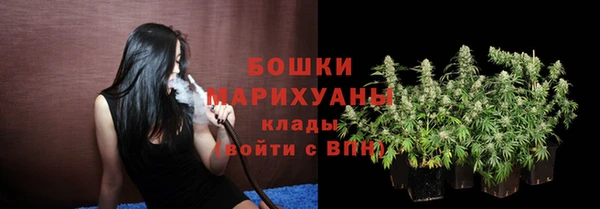 гашик Белокуриха