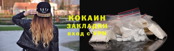 гашик Белокуриха
