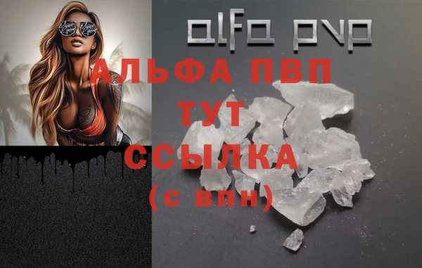 прущие грибы Белоозёрский