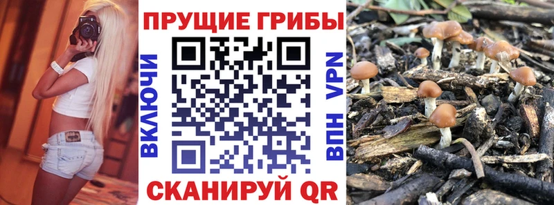 Псилоцибиновые грибы MAGIC MUSHROOMS  Будённовск 